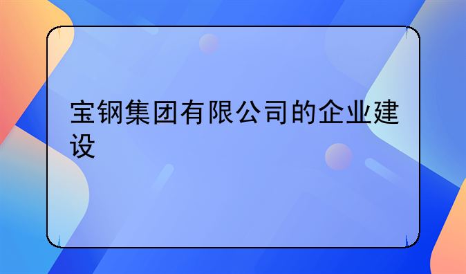 宝钢集团有限公司的企业建设