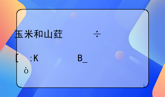 玉米和山药能一起炖排骨吗？