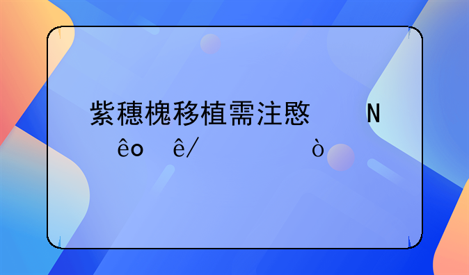 紫穗槐种植方法和注意事项