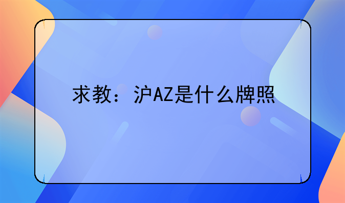 求教：沪AZ是什么牌照