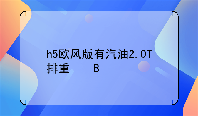 h5欧风版有汽油2.0T排量吗