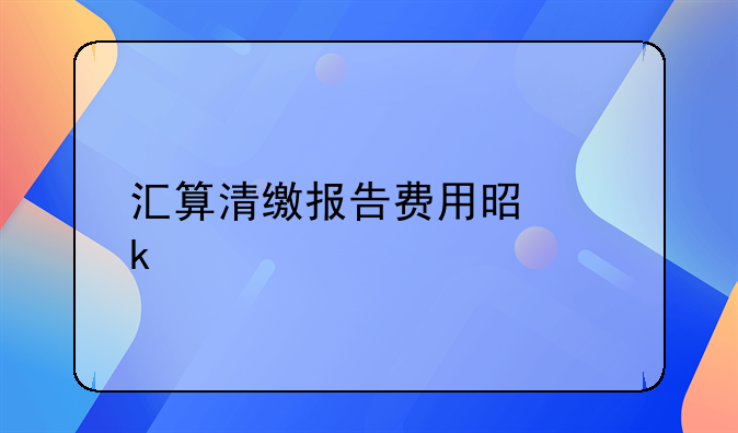 汇算清缴报告费用是多少