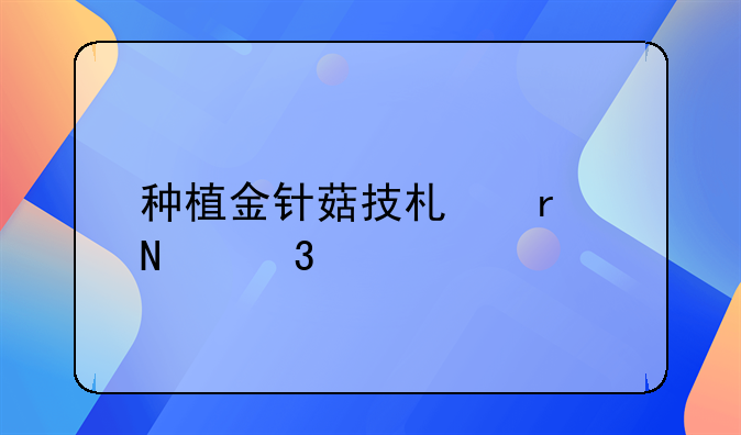 学做金针菇