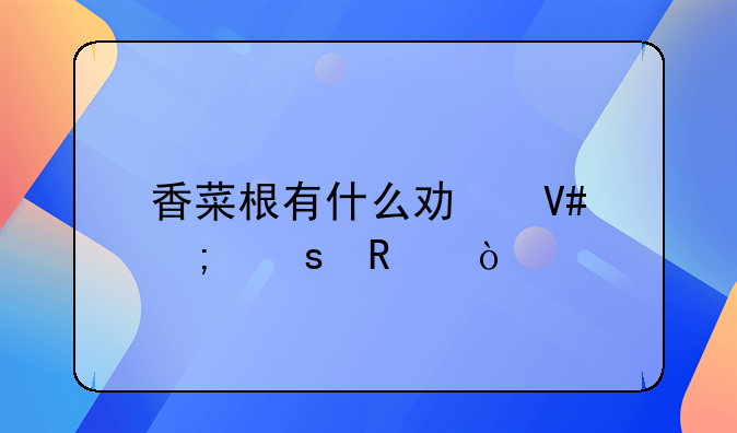 香菜根的怎么吃好吃吗，香菜根儿