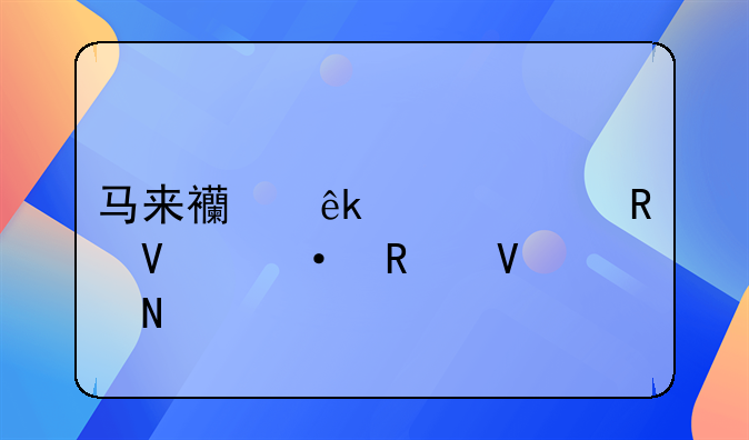 马来西亚最大的电商！马来西亚跨境电商热销商品