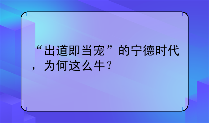 “出道即当宠”的宁德时代，为何这么牛？