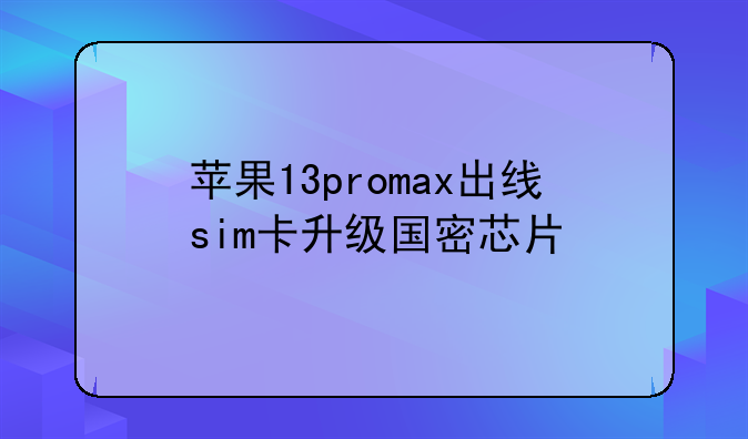 苹果13promax出线sim卡升级国密芯片