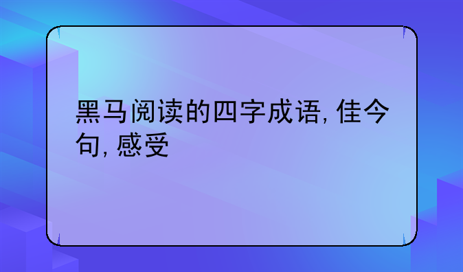 黑马阅读的四字成语,佳今句,感受