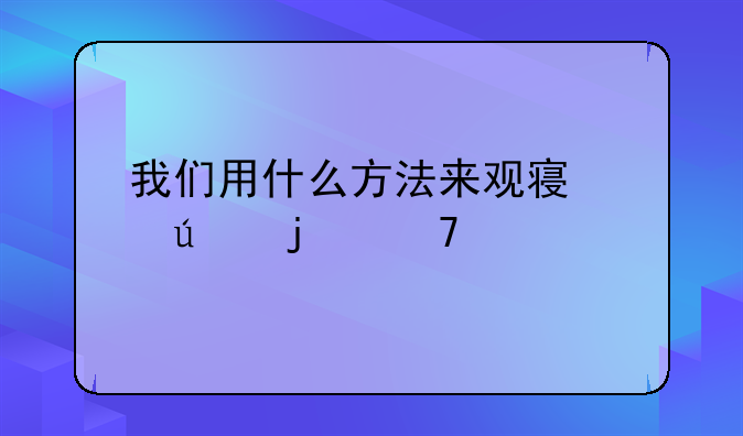 我们用什么方法来观察身边的植物