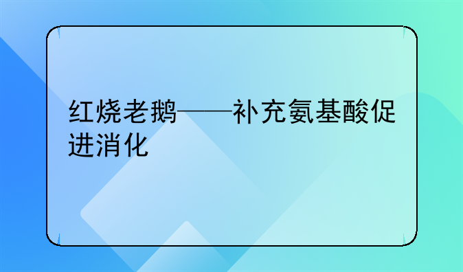 老鹅和什么红烧好吃吗__红烧老鹅——补充氨基酸促进消化