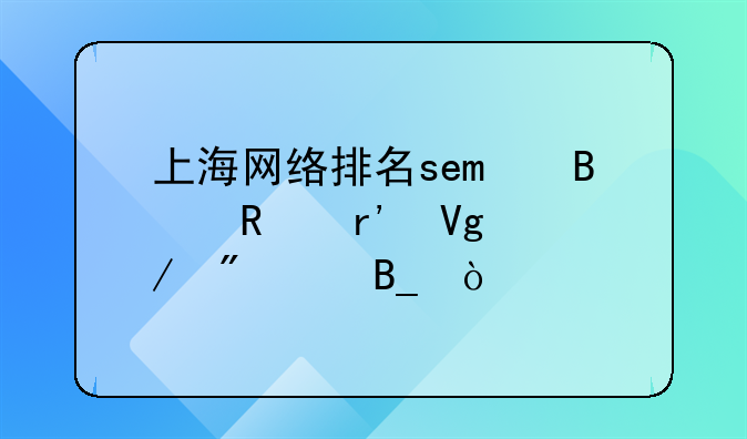 上海网络排名seo营销有教程分享吗？