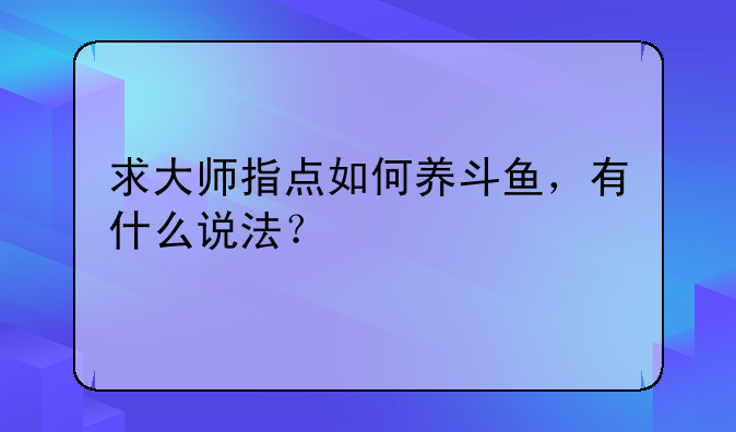 迷抖鱼做法！求大师指点如何养斗鱼，有什么说法？