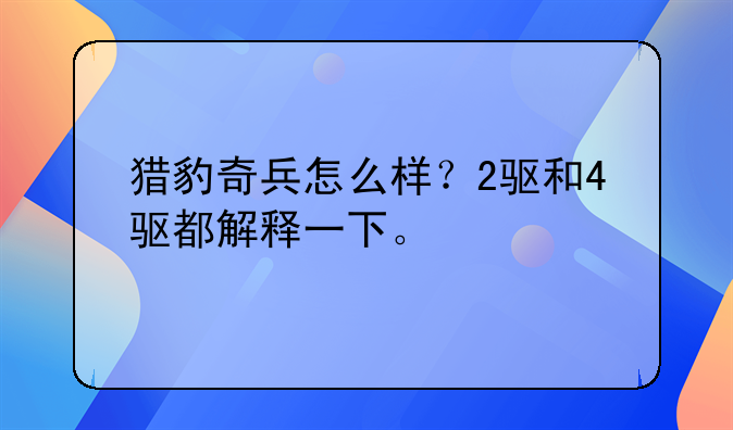 猎豹奇兵怎么样？2驱和4驱都解释一下。