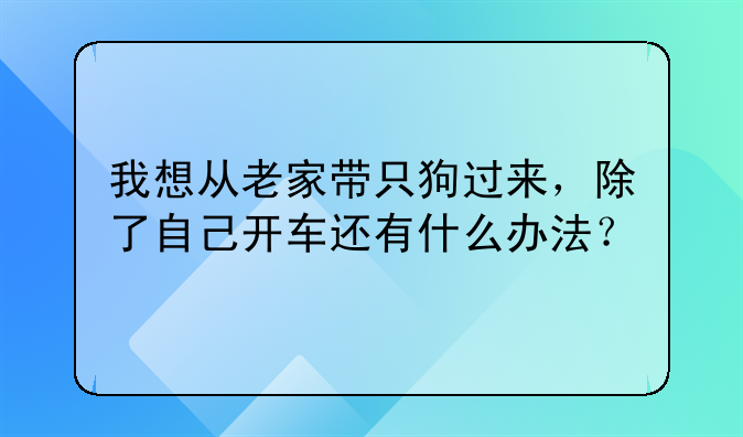 顺丰宠物托运价格表 从杭州到宁波