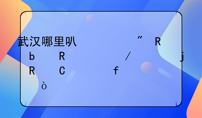 武汉哪里可以买到电阻电容之类的电子元器件？