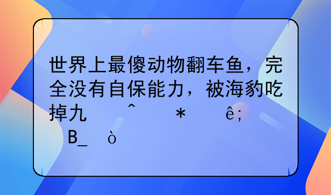 晒日光浴。什么鱼喜欢晒日光浴