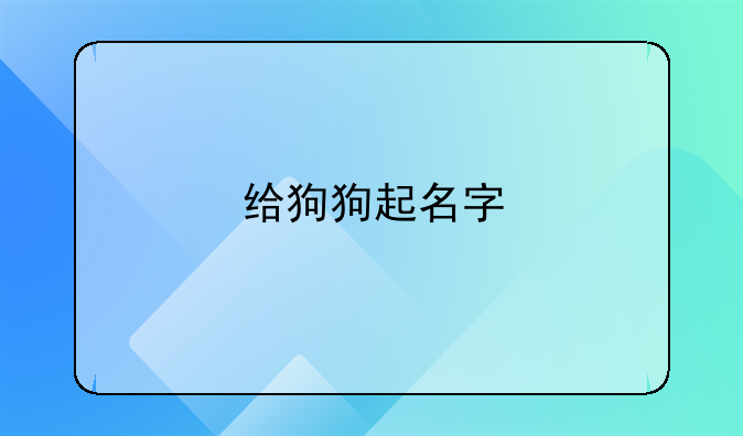 给狗狗起名字