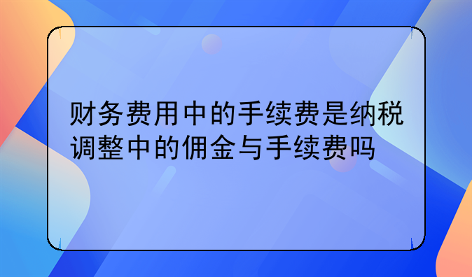 财务费用中的手续费是纳税调整中的佣金与手续费吗