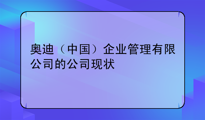 奥迪公司现状